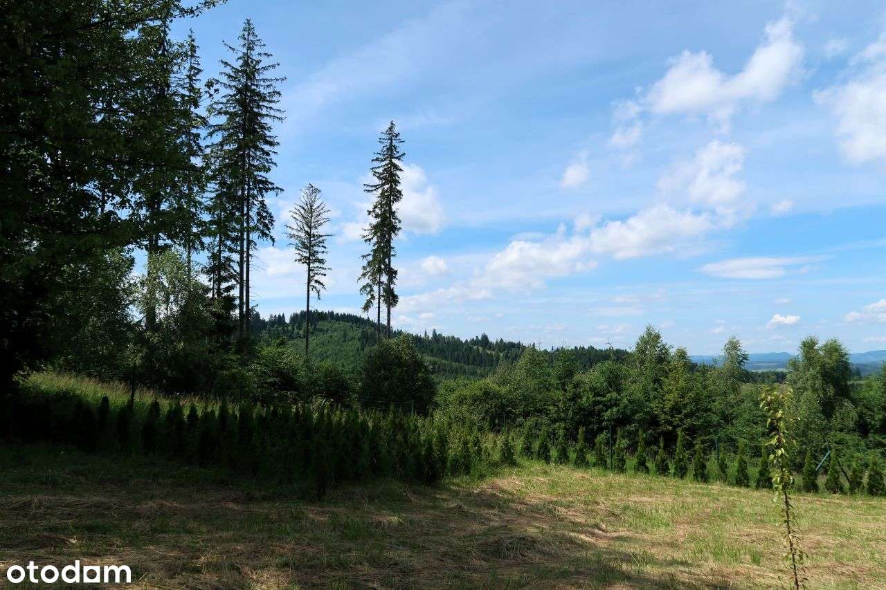 Działka rolna, 3400 m2, Jaworzynka - Pełny obrazek: 5/11