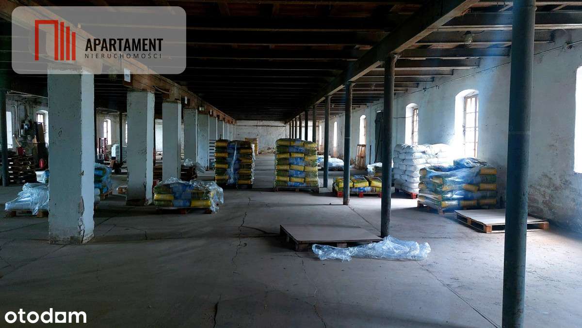 Duży magazyn z wagą do 50 ton - Świetna cena!!! - Pełny obrazek: 4/8