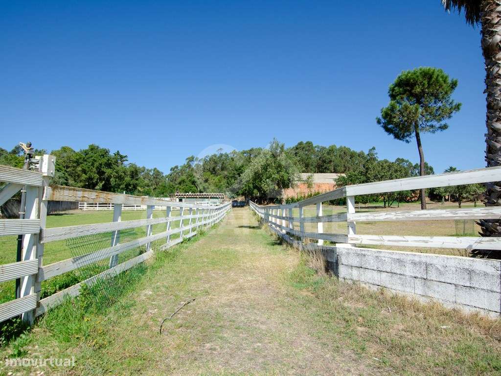 Quinta em Serradas, com terreno de 17.000m²-42