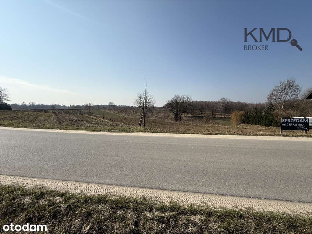 29/12040/OGS - Pełny obrazek: 5/6