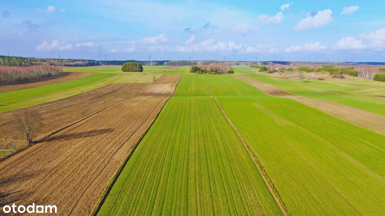 Działki budowlane w atrakcyjnej cenie blisko Łomży - Pełny obrazek: 5/13