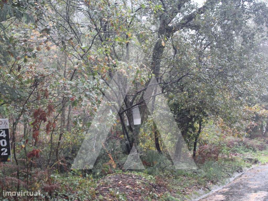 Terreno para construção de moradia em Sever do Vouga - Grande imagem: 4/17