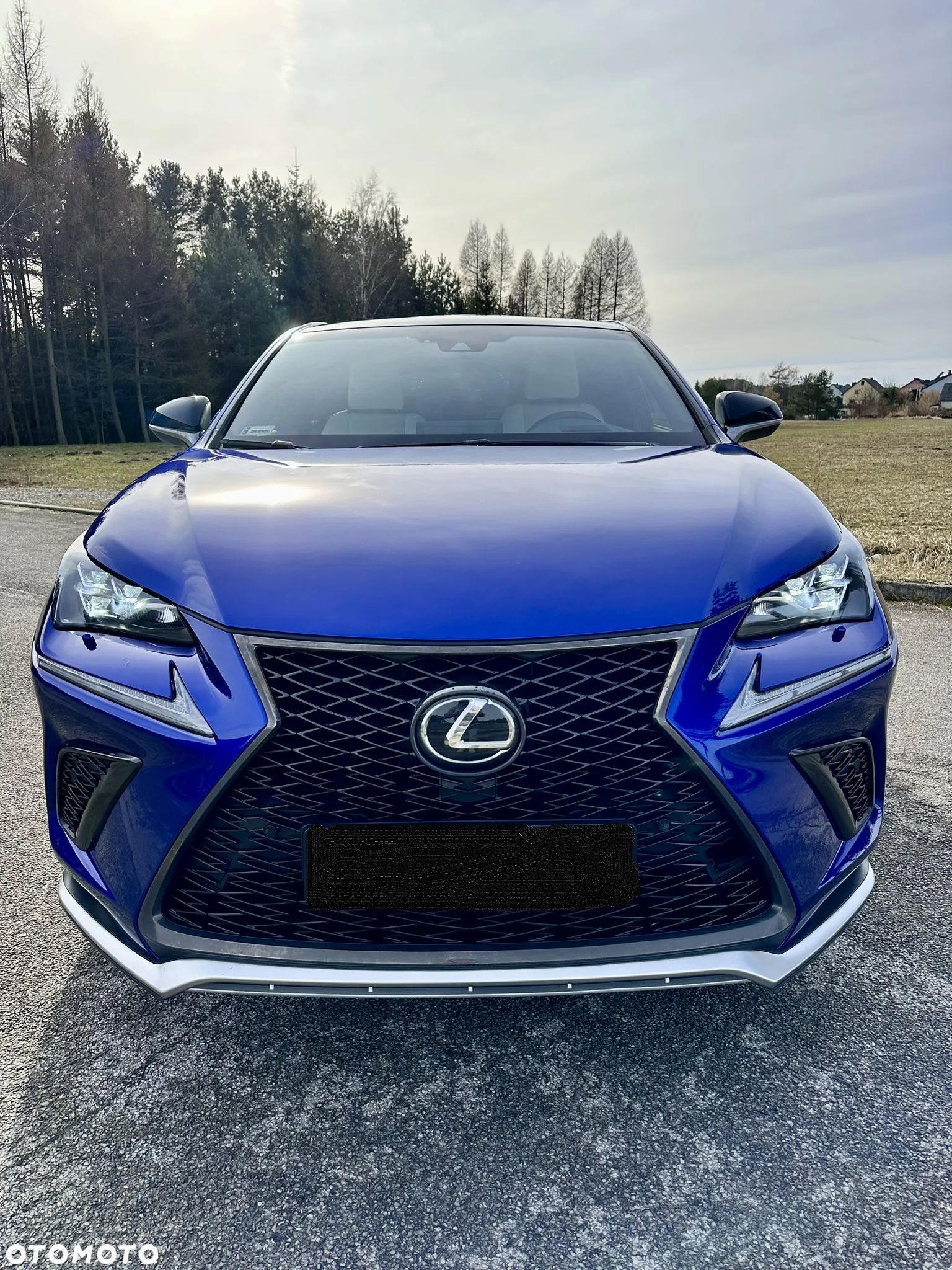 Lexus NX 300 F Sport AWD - 1