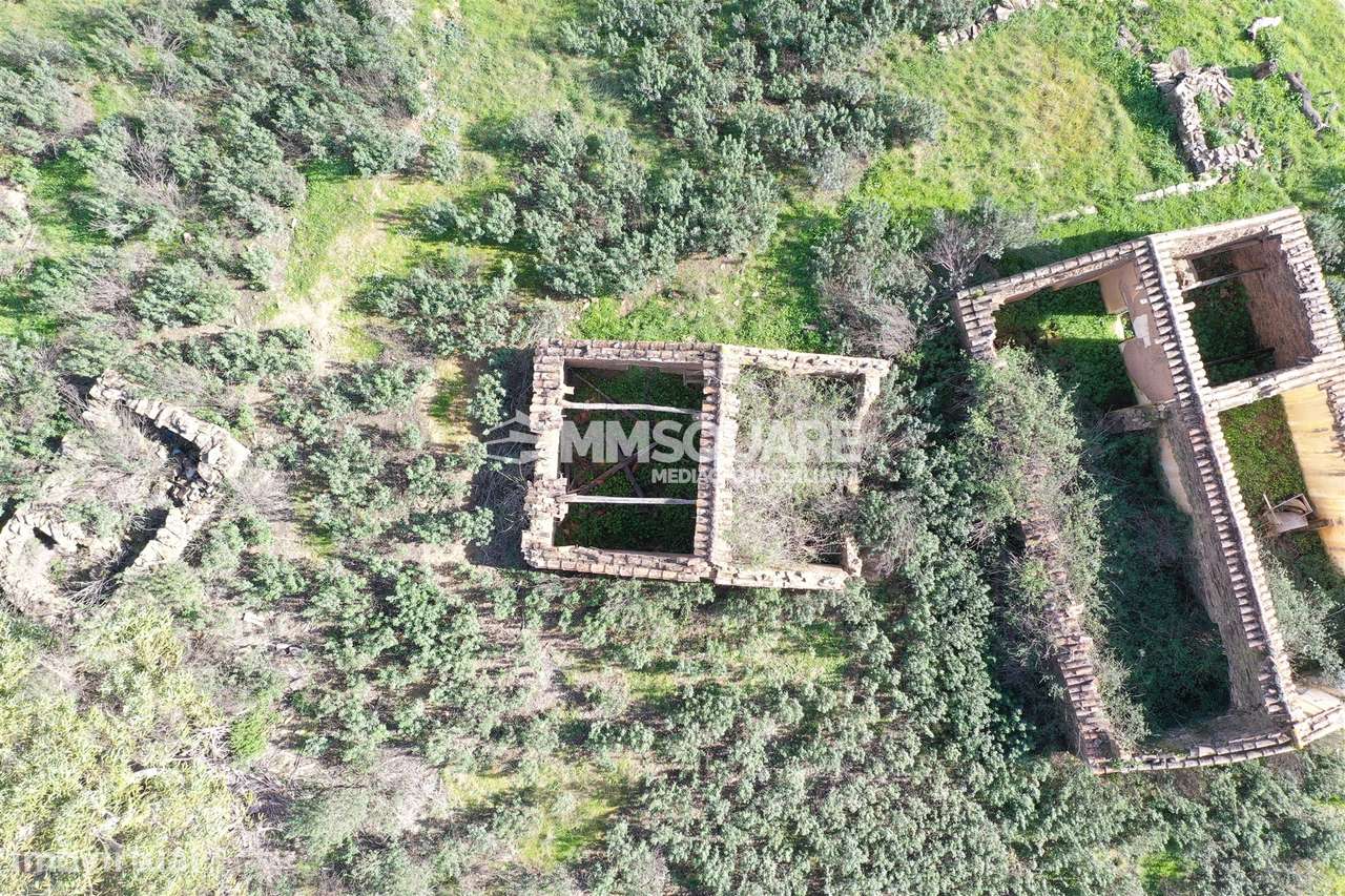 Herdade  Venda em Santana da Serra,Ourique - Grande imagem: 4/15
