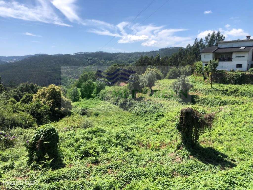 TERRENO / QUINTA COM 27.000 m² - Grande imagem: 5/18