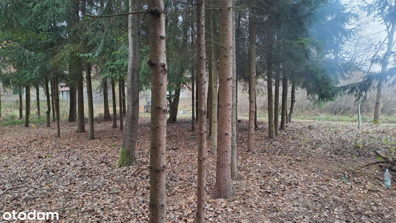 Działka leśna z WZ w pięknej okolicy-3