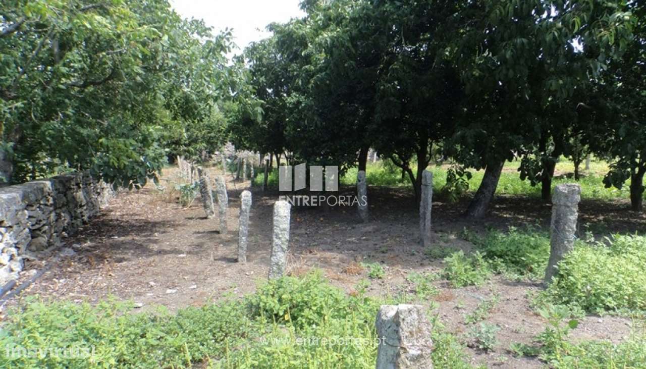 Venda de Terreno, Meadela, Viana do Castelo - Grande imagem: 2/10