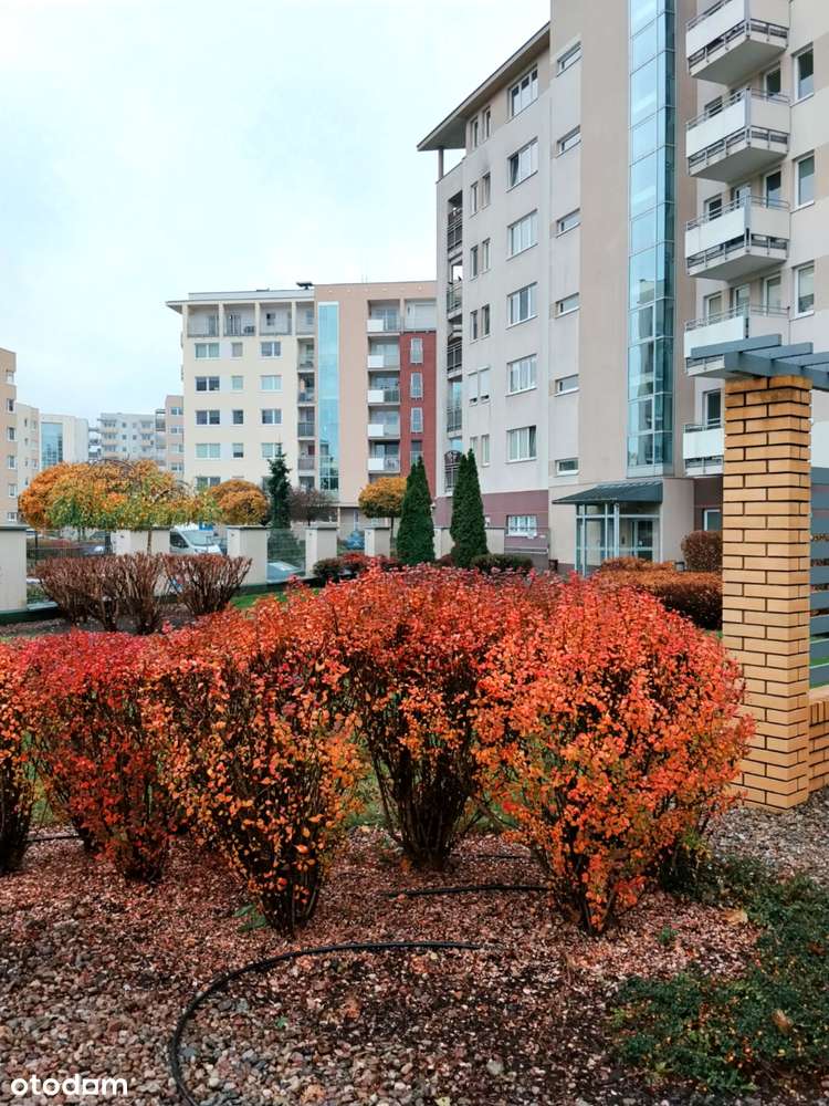 Oferta zablokowana!-2