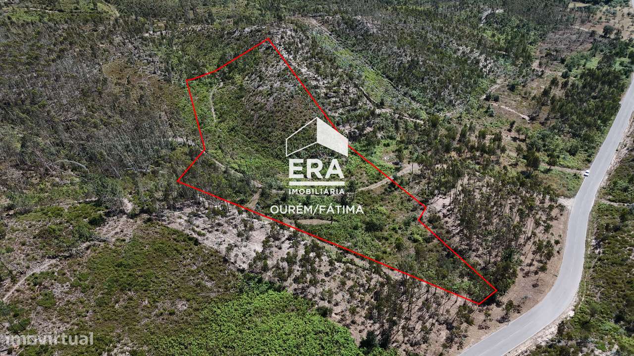 Terreno Florestal em Matas, Ourém-4
