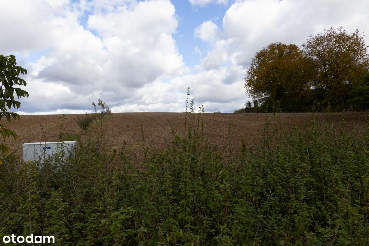 Działka budowlana Chmiel - Kolonia-11