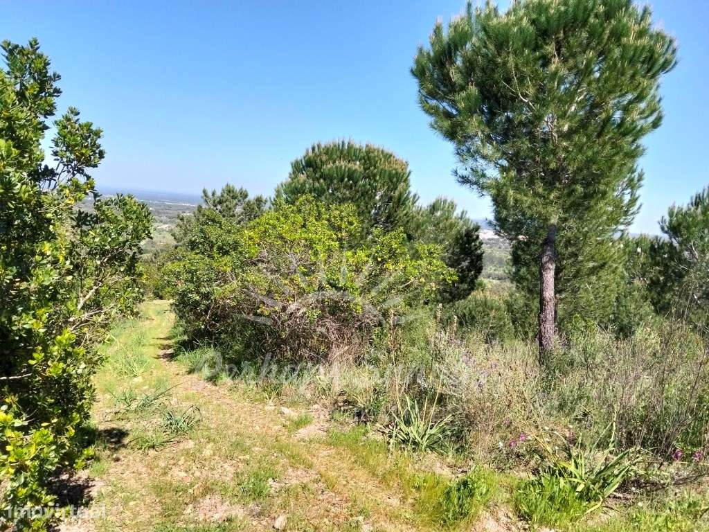 Terreno Serra de Grândola - Grande imagem: 3/5