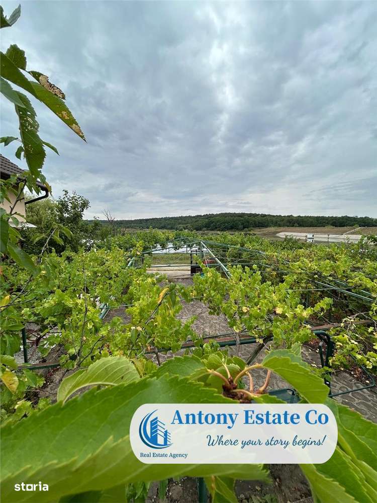 LAKESIDE HOME - Paleu - Imagine principală: 2/20