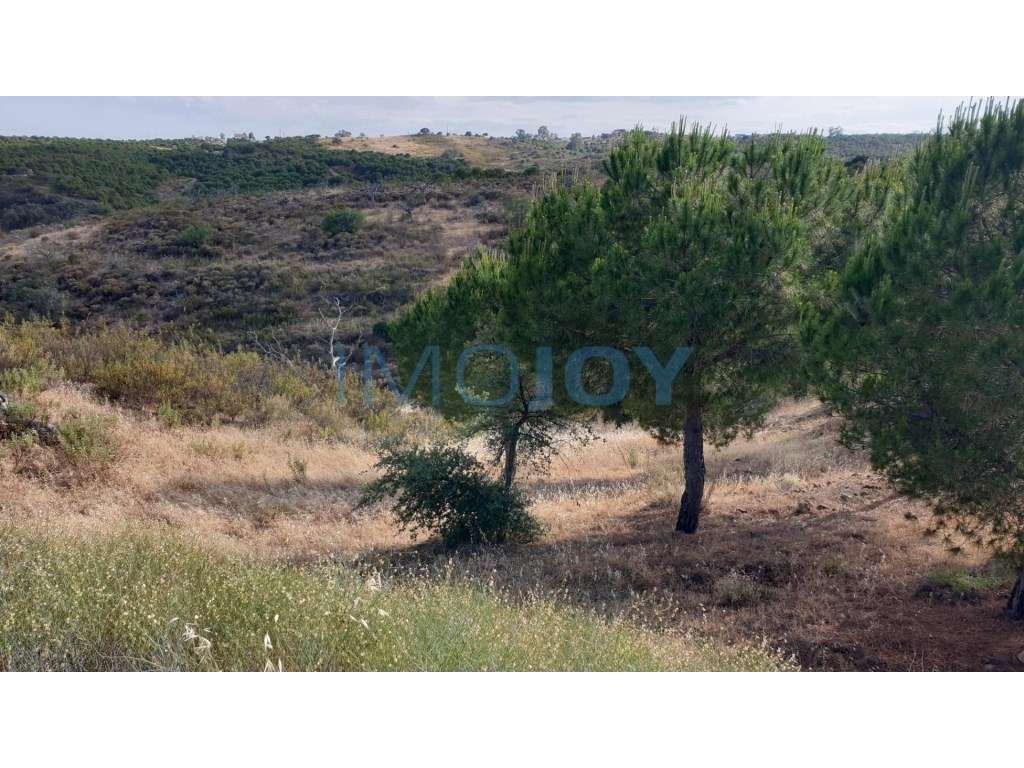 Terreno na Murteira de Baixo, Azinhal em Castro Marim - Grande imagem: 4/12