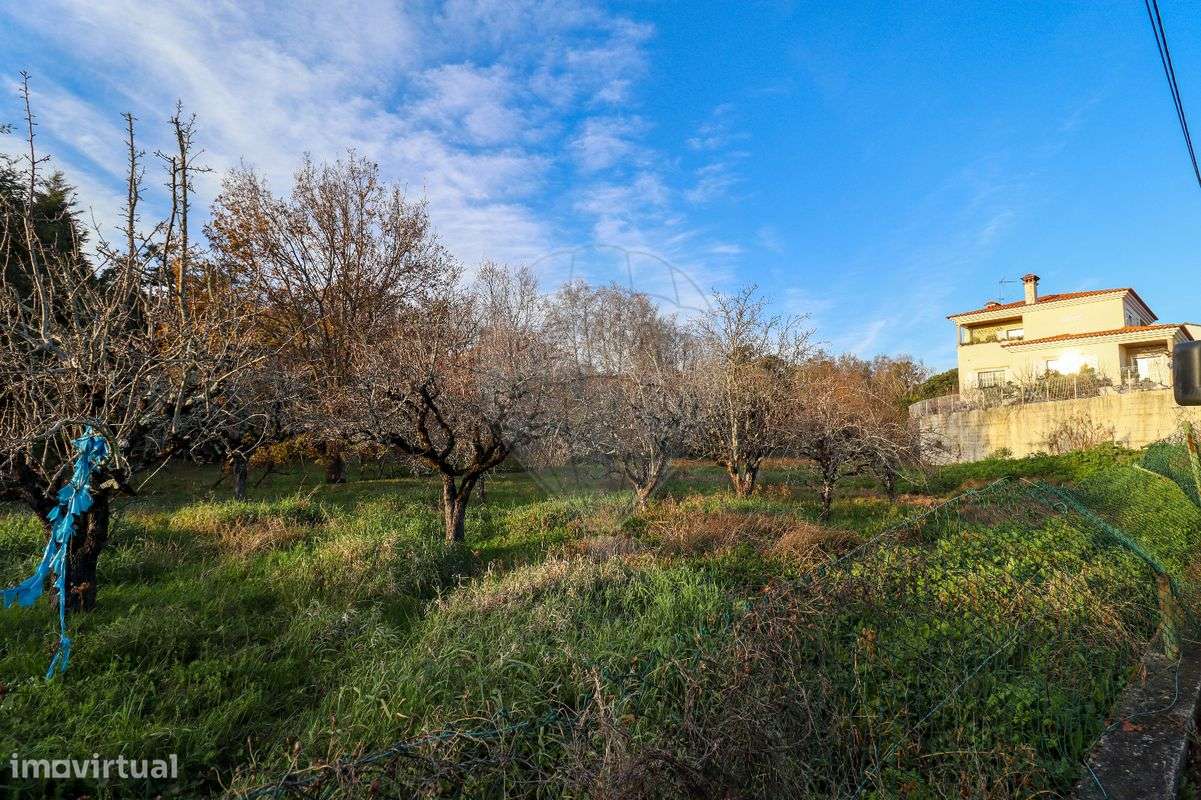 Terreno  para venda - Grande imagem: 4/6