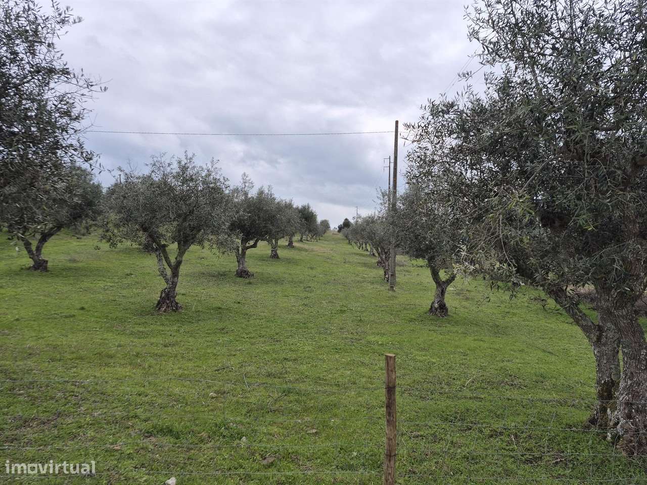 Quinta - Grande imagem: 2/14