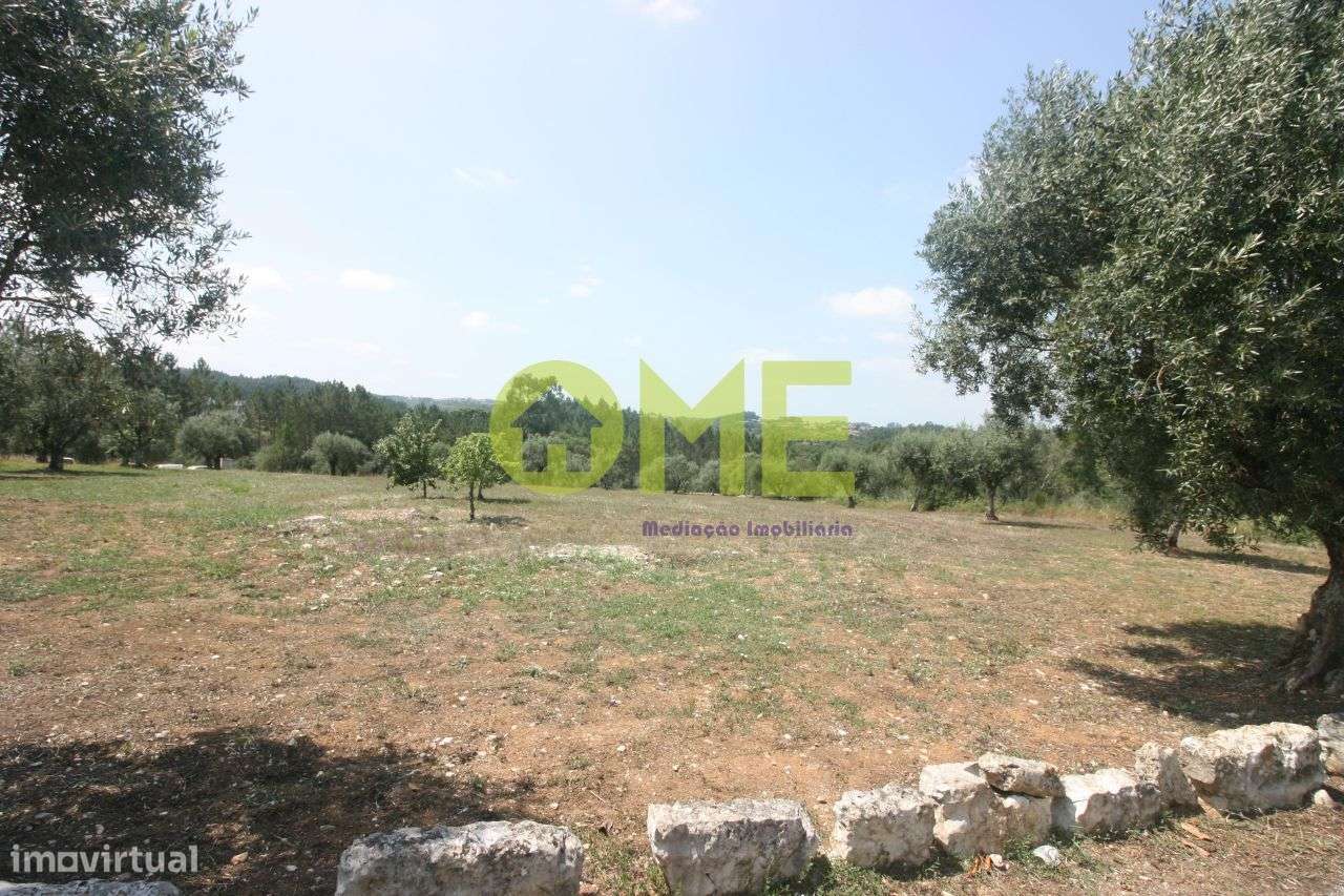 Terreno para construção - Atouguia - Grande imagem: 5/5
