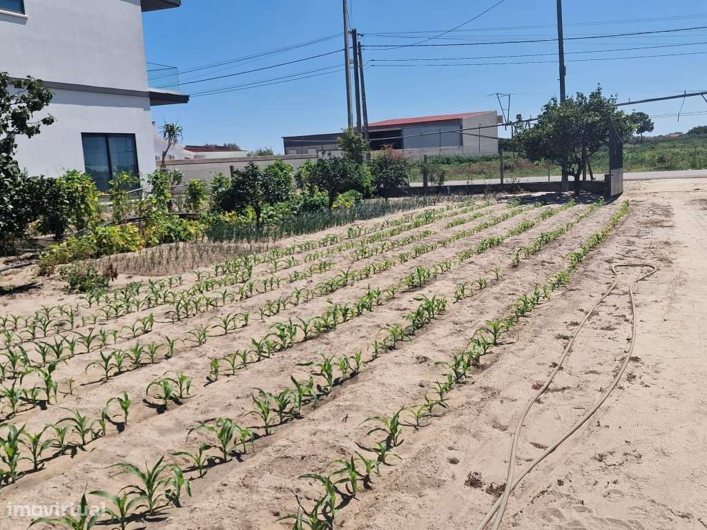 Terreno c/ Casa Térrea, em Foros de Salvaterra. - Grande imagem: 3/53