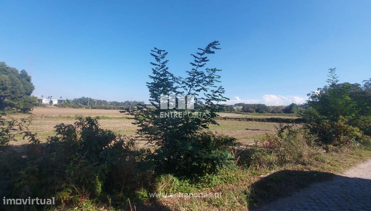 Venda de Terreno agrícola com 7250 m2, Tougues, Vila do Conde - Grande imagem: 2/11