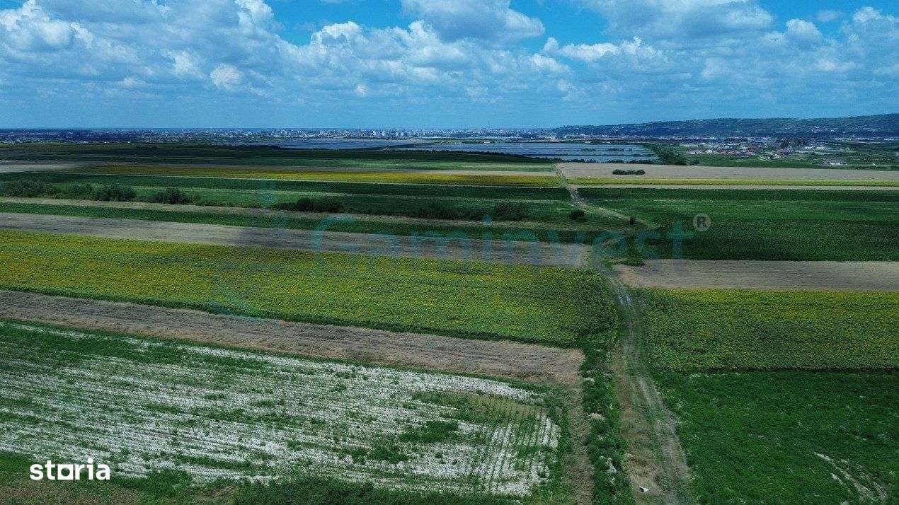 Gaminvest-Teren de vanzare, Rontau, Bihor V3726 - Imagine principală: 5/5