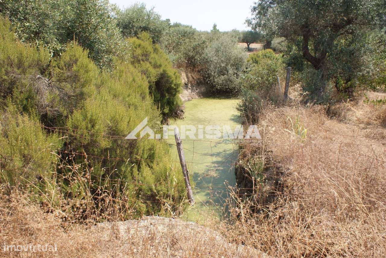 Quinta para Venda em Orca - Fundão - Grande imagem: 4/31