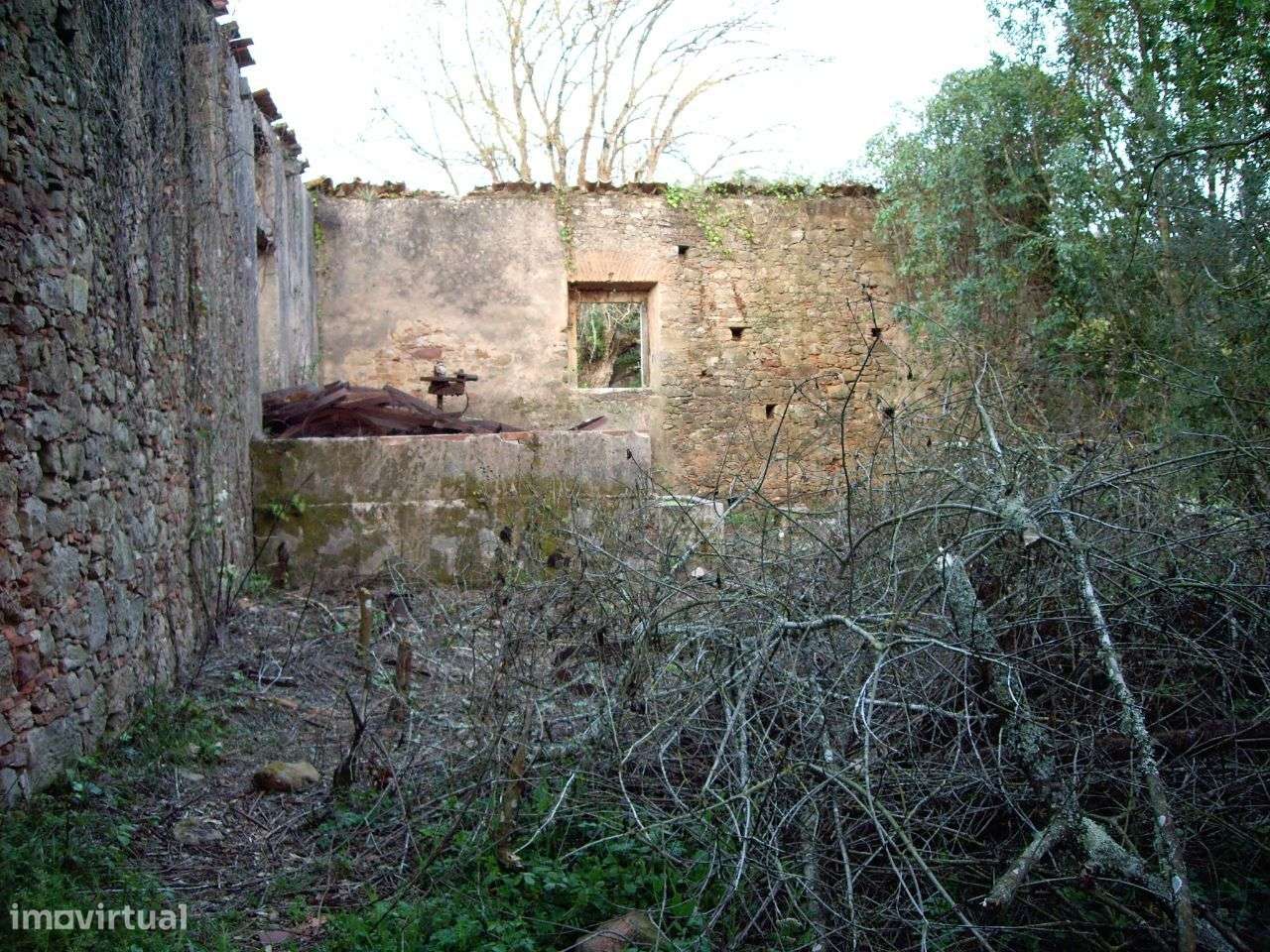 Quinta do Conventinho - Óbidos-7