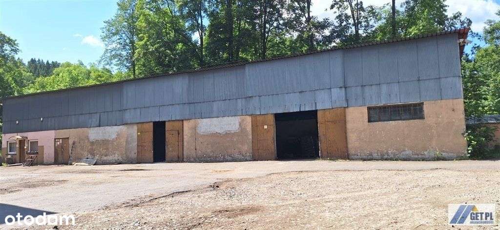 Hala produkcyjno - warsztatowa w Makowie. - Pełny obrazek: 4/13