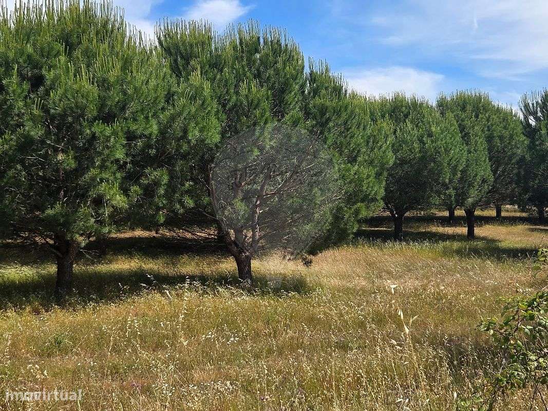 Quinta T3 para venda-3