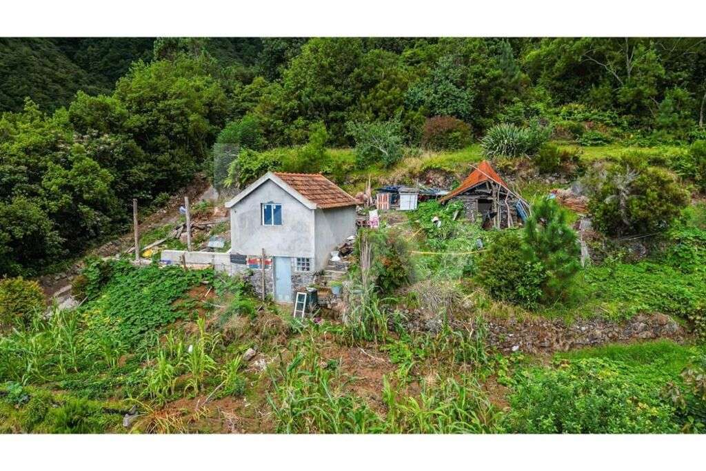 Terreno com armazém agrícola | Ponta delgada | Ilha da Madeira - Grande imagem: 2/20