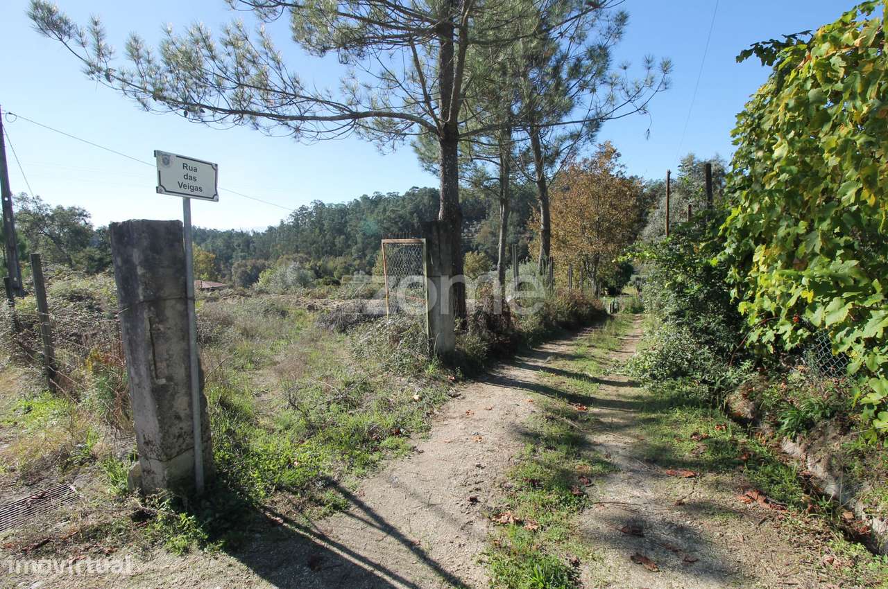 Terreno Rústico em Veigas, Goães, Amares - Grande imagem: 2/24
