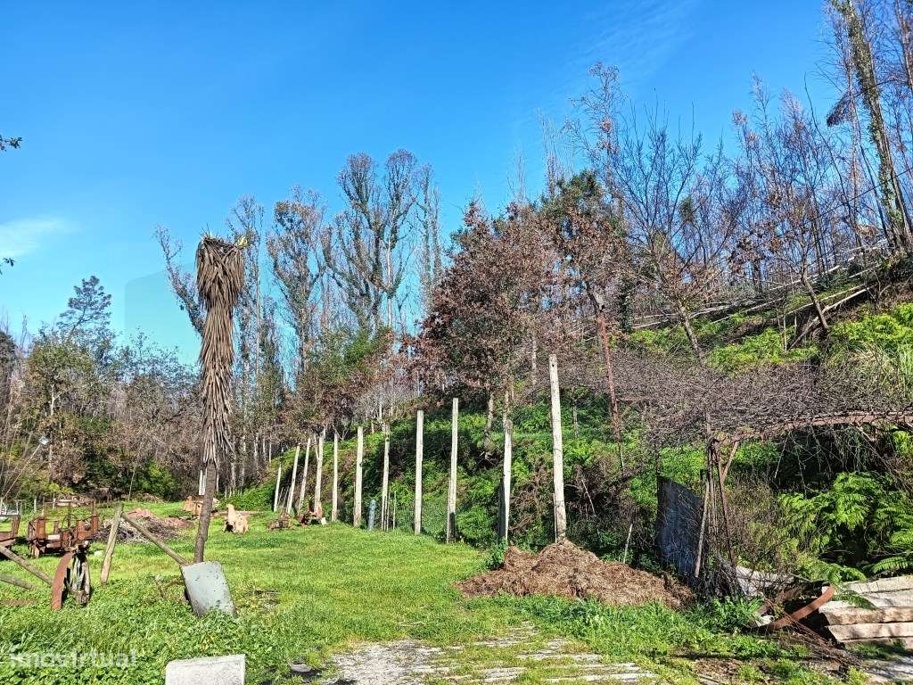 Terreno / Quinta para construção de moradia - Angeja - Grande imagem: 5/21