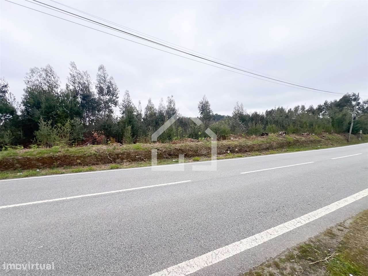 Terreno 18.260m2 - Canedo - Grande imagem: 2/6