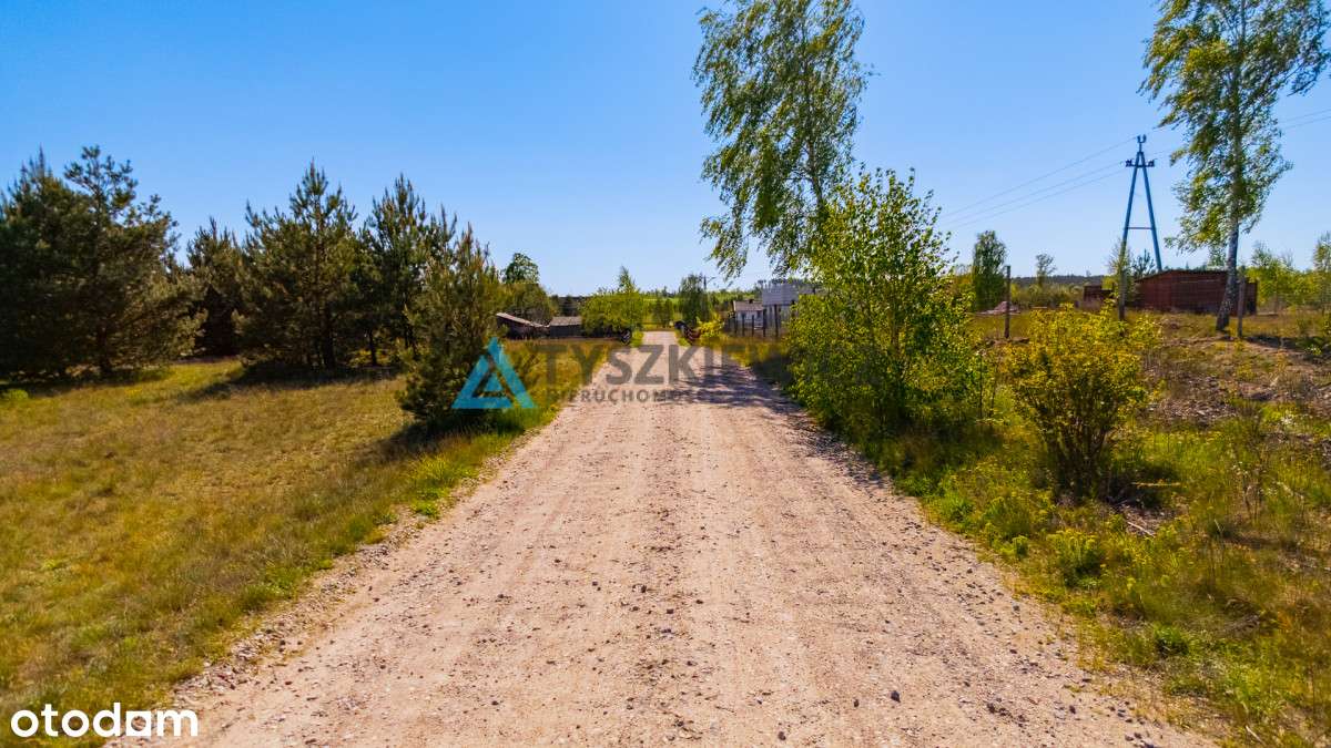 Działka w otulinie lasu. - Pełny obrazek: 4/10