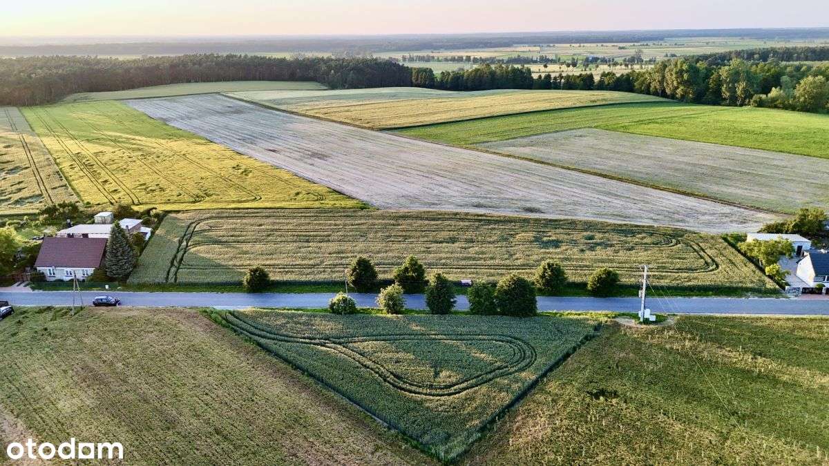 Zamieszkaj bliżej natury – Bieździadów-0