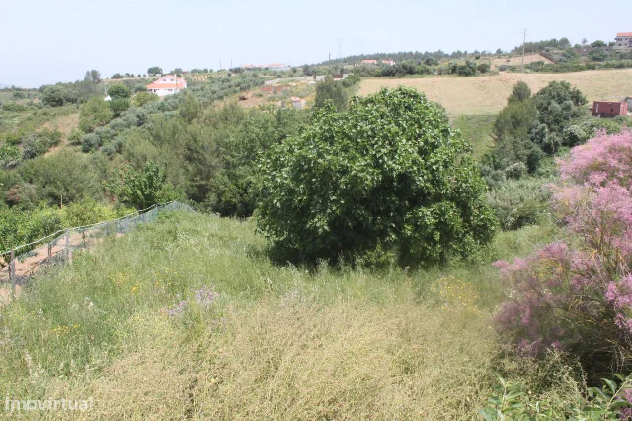 Terreno Rustico com moradia em construção - Grande imagem: 3/12