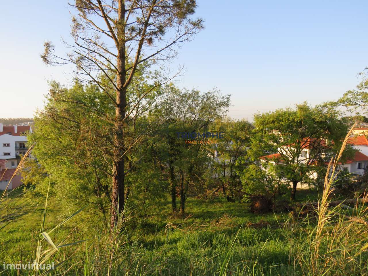 Terreno Urbanizável em Parceiros, Leiria 1.640 m2 - Grande imagem: 5/12