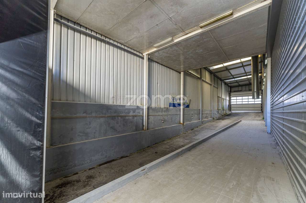 Armazém - Antas - Grande imagem: 3/45