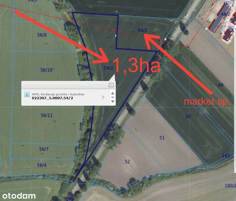 Działka 1,3ha inwestycyjne przy ruchliwej drodze - Pełny obrazek: 2/11