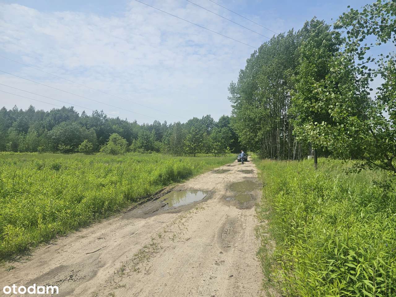 Blisko trasy S17. Uchwalony MPZP - USŁUGI / PRZEMYSŁ. Brak sąsiadów-6