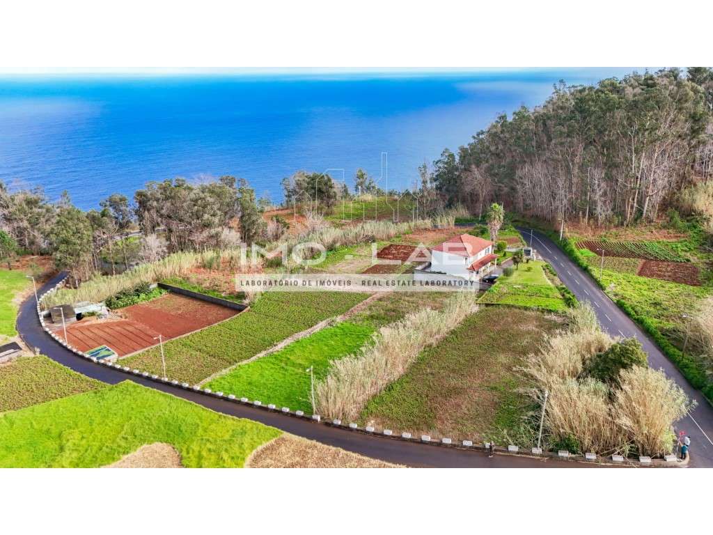 Terreno plano com 2128m2 - Porto Moniz-18