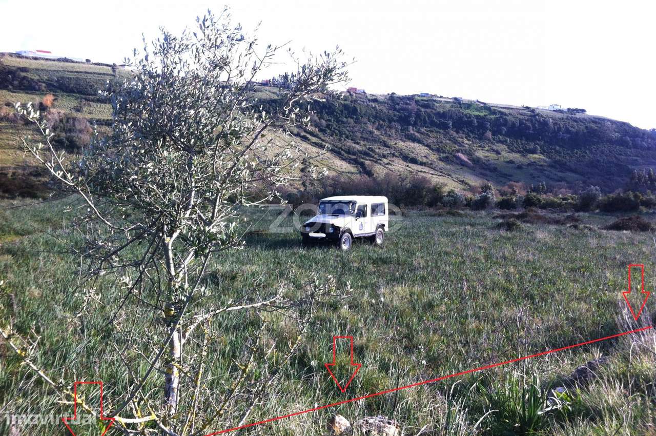 Terreno Rústico -Natureza, História e Tranquilidade na Terrugem Sin...-20