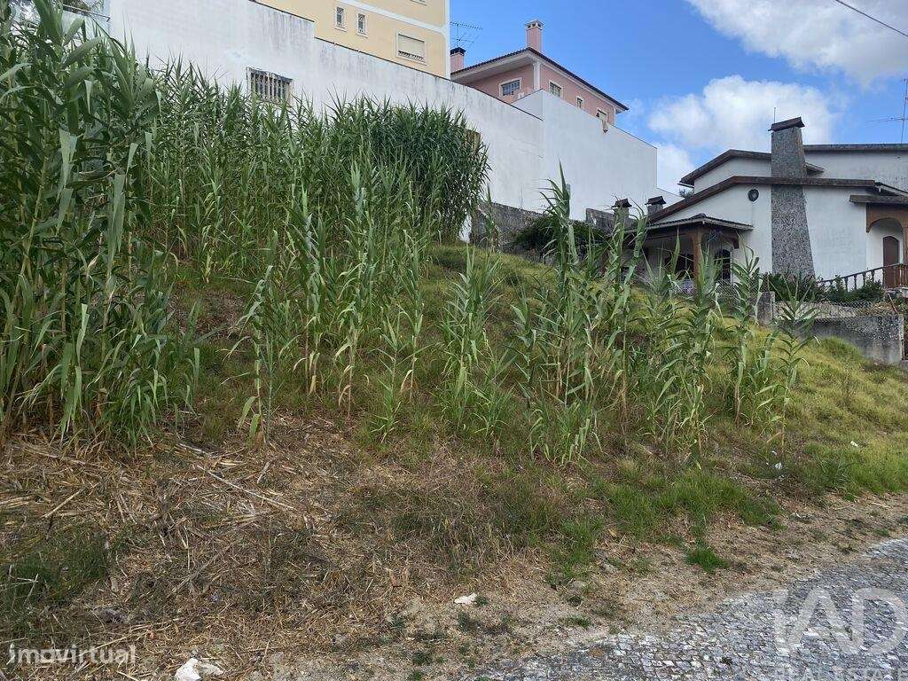 Terreno para construção em Nossa Senhora da Piedade de 422,00 m2 - Grande imagem: 4/5