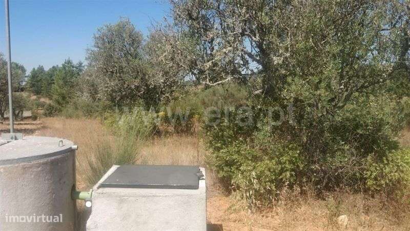 Terreno Rústico / Fundão, Capinha - Grande imagem: 2/5