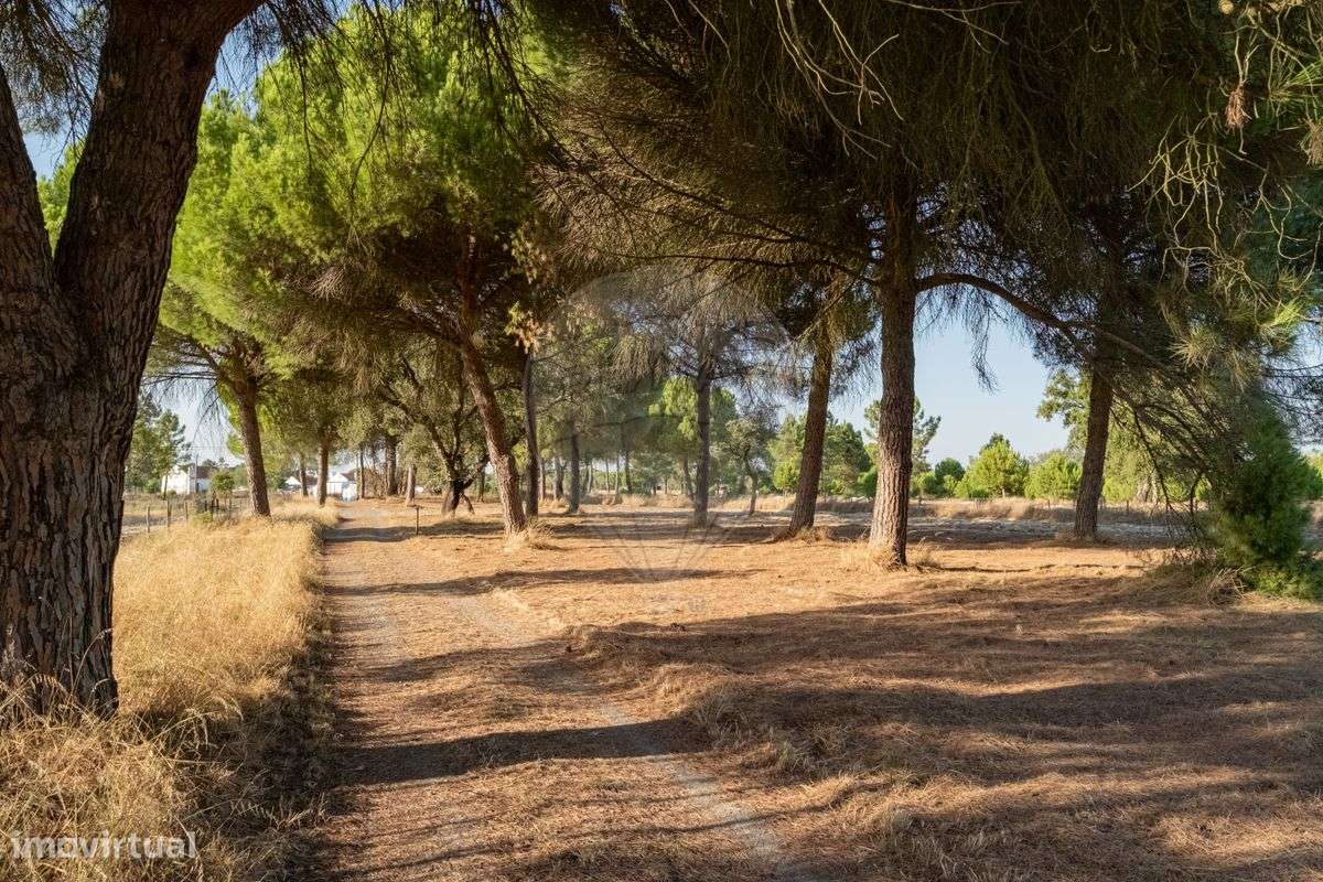 Quinta T3 para venda - Grande imagem: 4/47