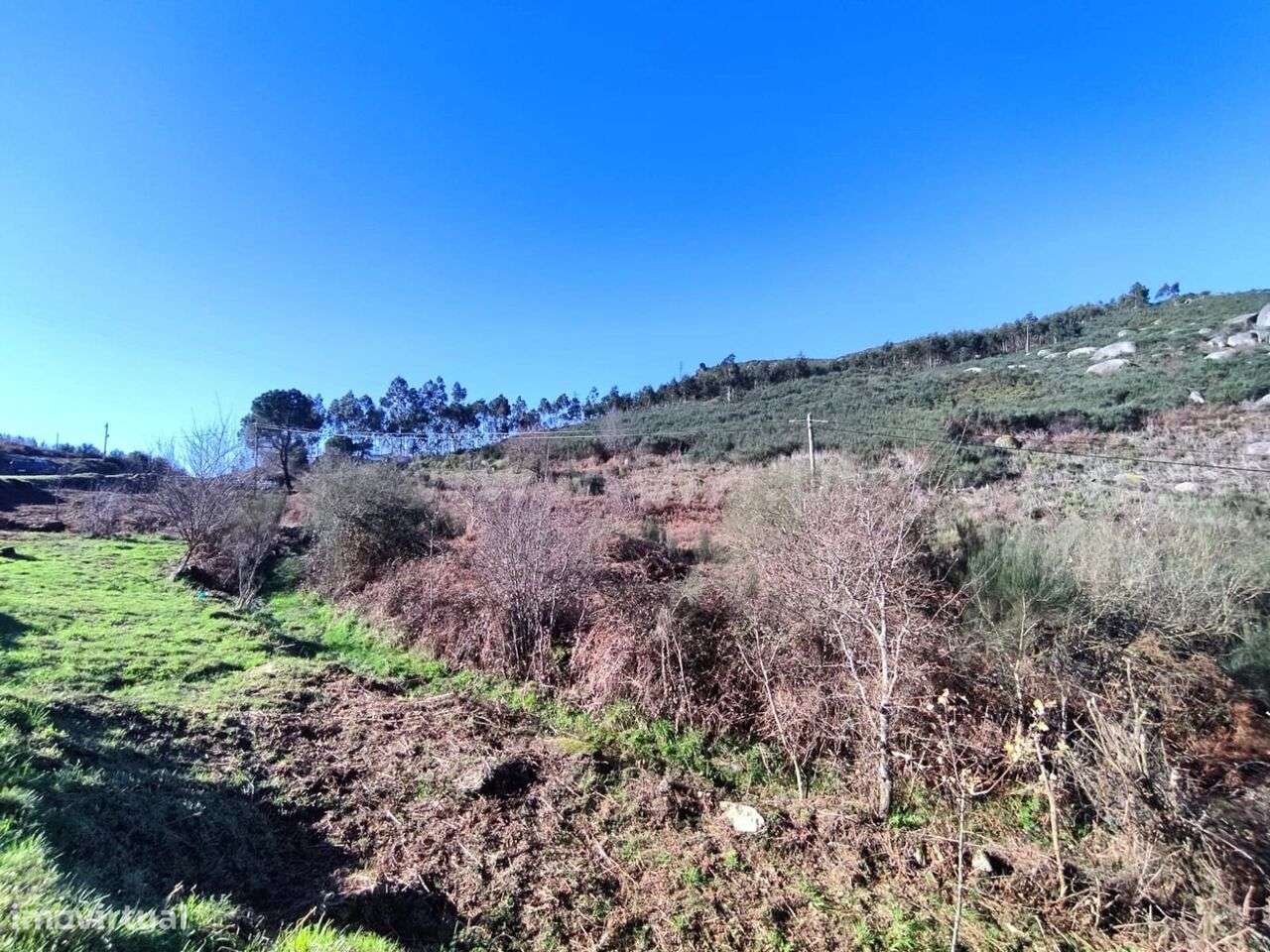 Terreno Rústico / Cinfães, São Cristóvão de Nogueira - Grande imagem: 5/7