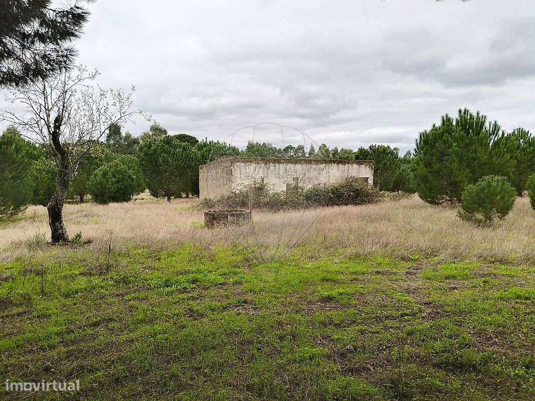 Quinta  para venda - Grande imagem: 4/17