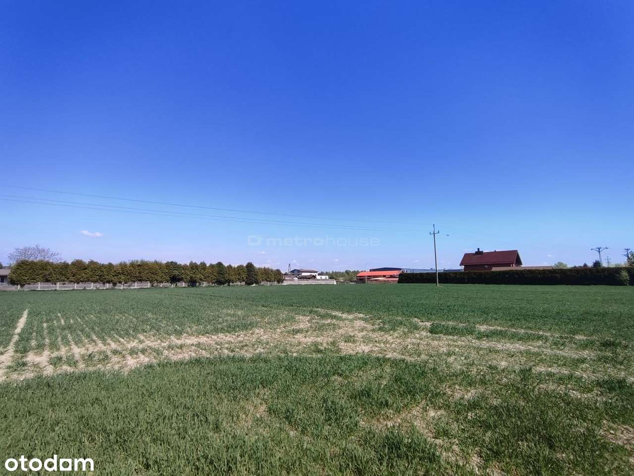 Działka budowlana z usługami nieuciążliwymi! 45 ar - Pełny obrazek: 5/9