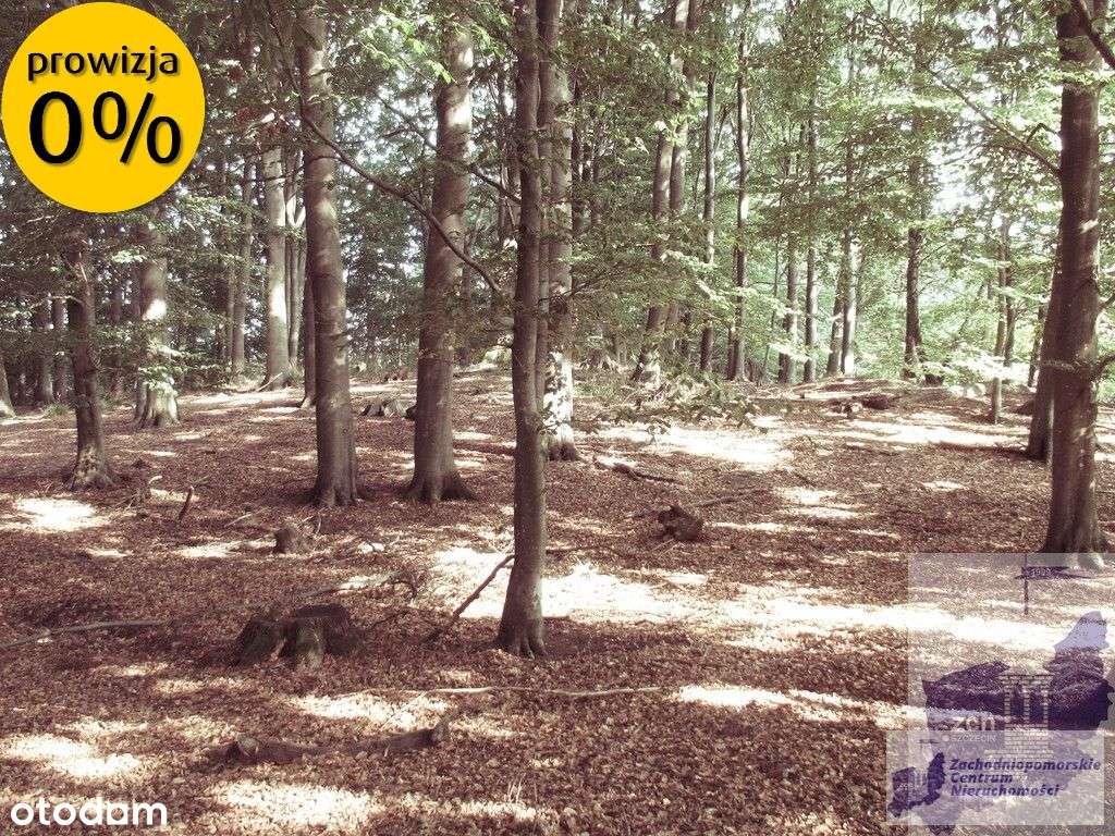 Działka nad jeziorem Woświn-7