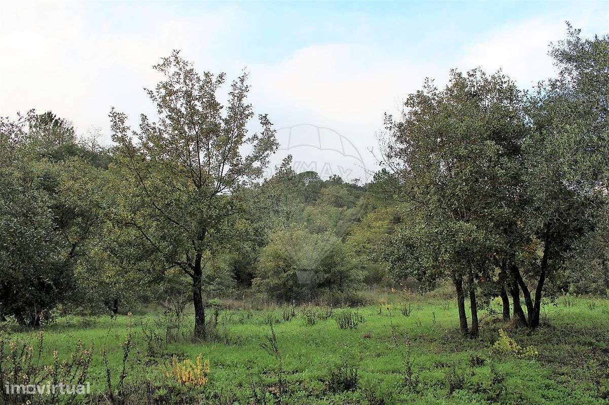 Terreno  para venda - Grande imagem: 4/6