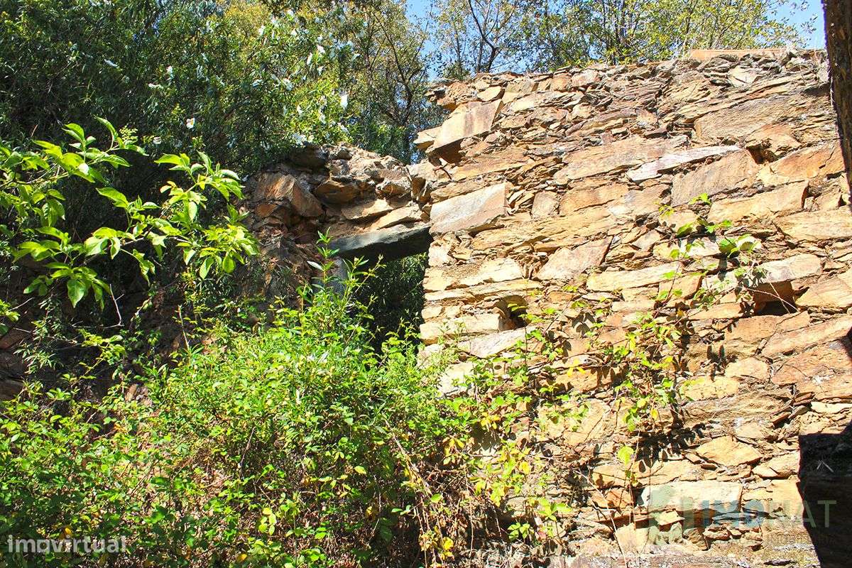 Quintinha - Grande imagem: 5/24