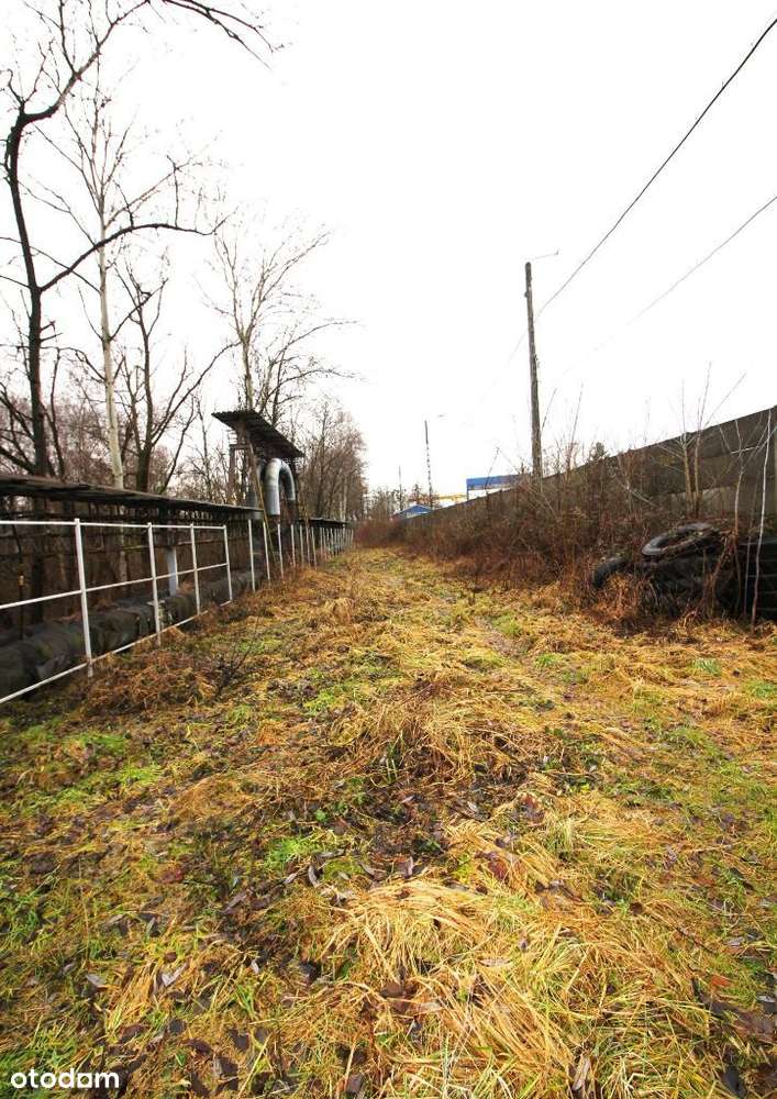 Okazja cenowa . - Pełny obrazek: 5/8